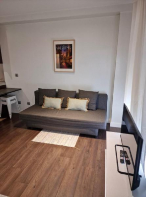 Apartamento 3A Atocha, Delicias, Madrid Rio